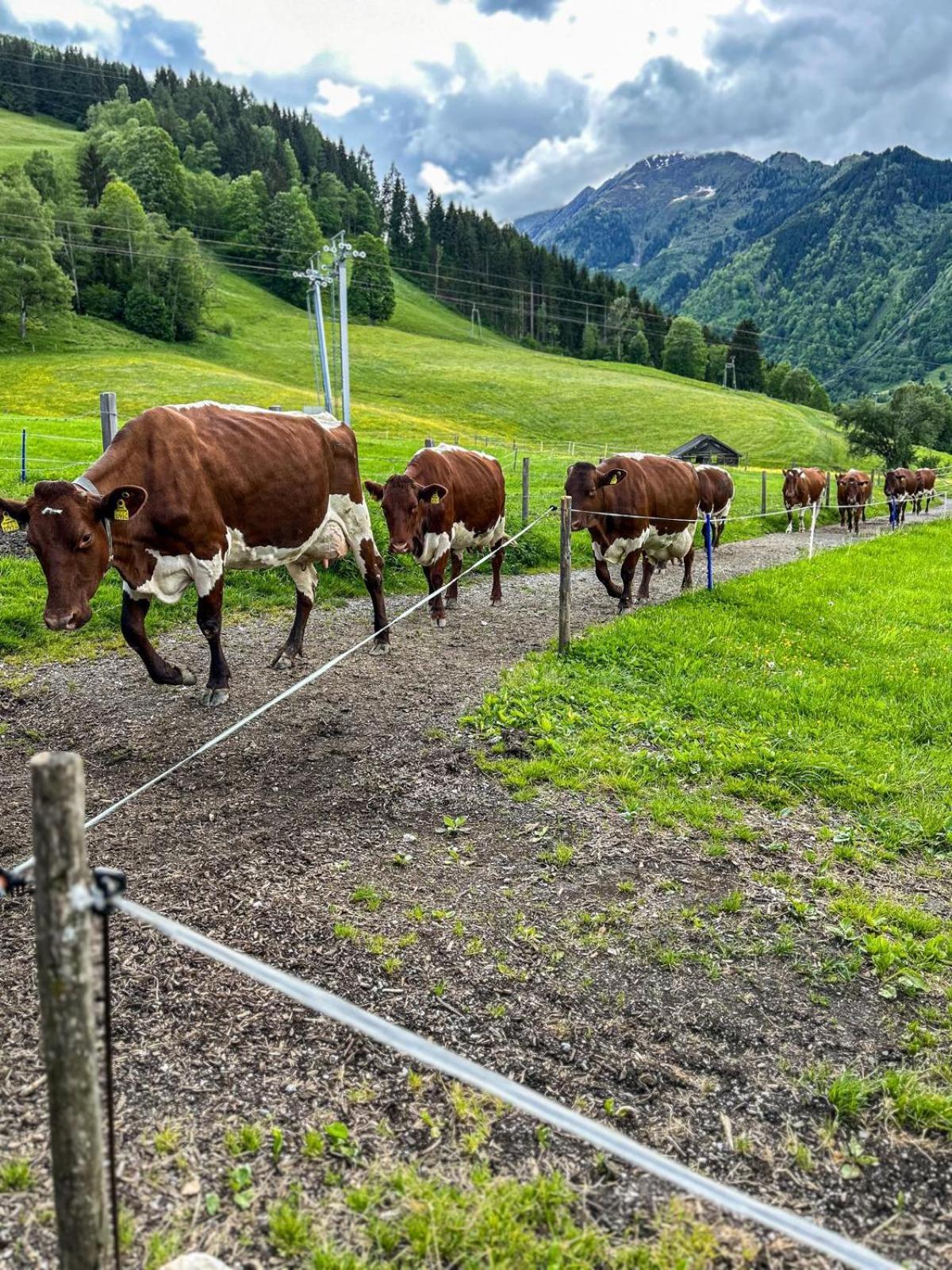 Oberlehenhof Villa Kaprun Værelse billede